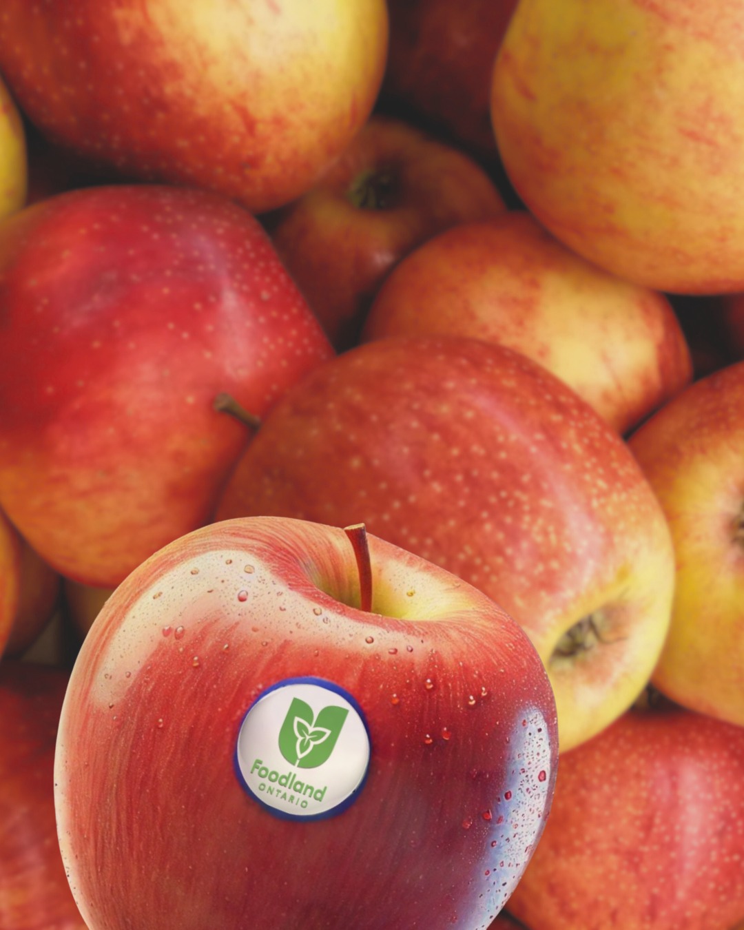 At Marilu’s, we prioritize thoughtful sourcing